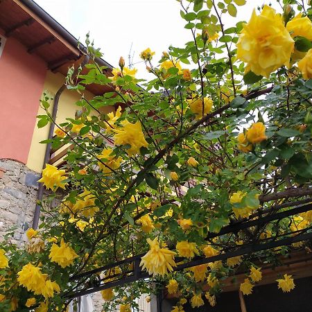 Lakes & Hills Villa Nebbiuno ภายนอก รูปภาพ