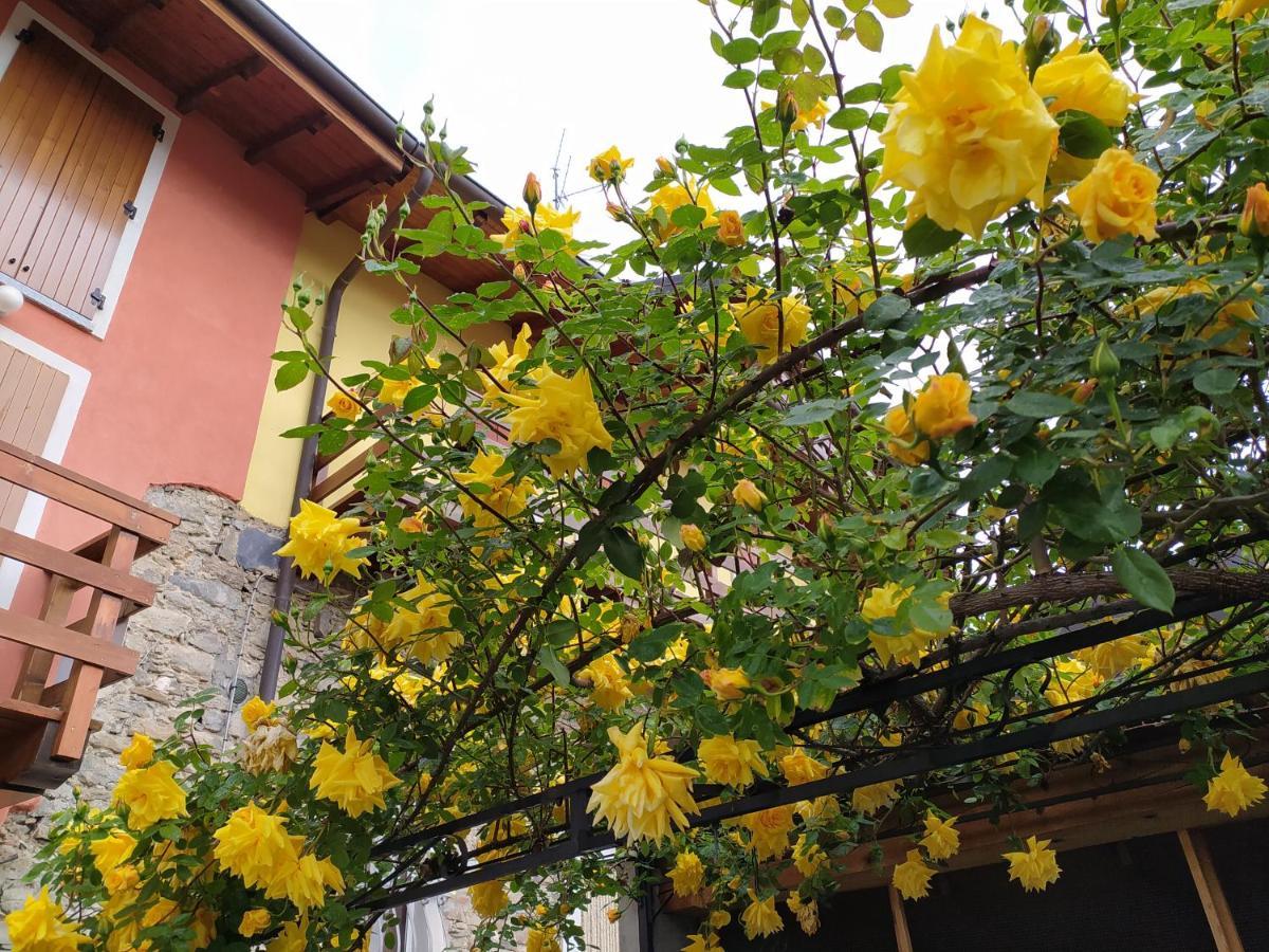 Lakes & Hills Villa Nebbiuno ภายนอก รูปภาพ